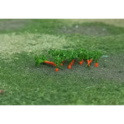 Carrots N Gauge