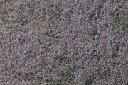 F177 Purple Flowering Foliage