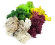 GM1600 Lichen Assorted Colours 80g