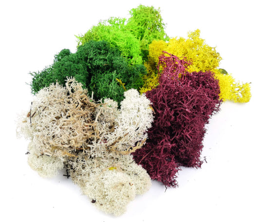 GM1600 Lichen Assorted Colours 80g