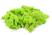 GM1601 Lichen Light Green 80g