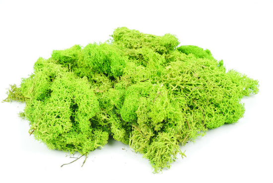 GM1601 Lichen Light Green 80g