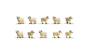 R7122 Sheep