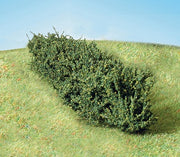 Large Hedge 170mm