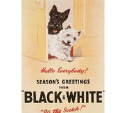 'Black & White Scotch' Metal Wall Sign