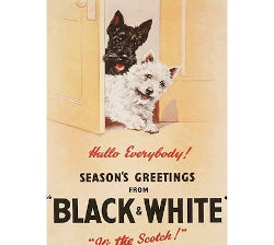 'Black & White Scotch' Metal Sign