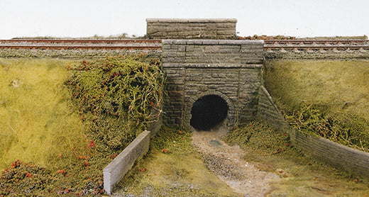 SS38 - Cattle Creep or Culvert